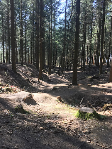 Bike Parcours Bild 3